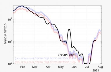 תמותה שבועית נמוכה ביחס למודל