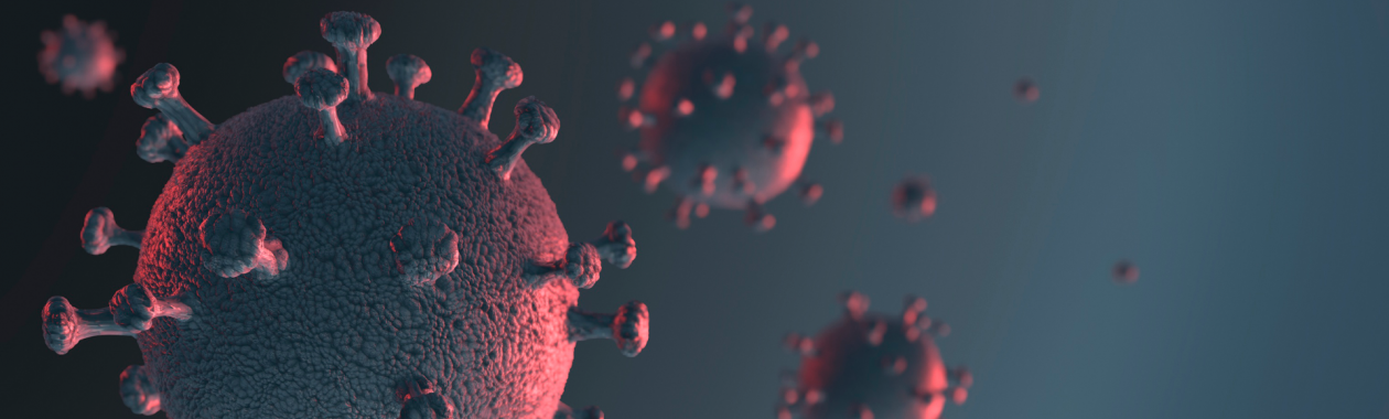 קורונה בעברית